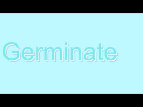 How to Pronounce Germinate