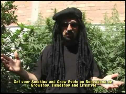 Tips & Tricks to grow indoor or outdoor marijuana (weed video)