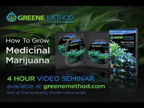 How to grow marijuana (11)