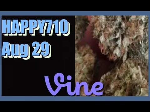 Best Vines for HAPPY710 Compilation - August 29, 2014 Friday
