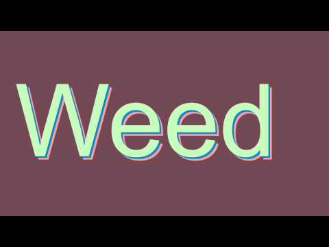 How to Pronounce Weed (Urban Slang Word)