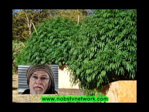 Marijuana Music Video: The Keeper In Modoc County California
