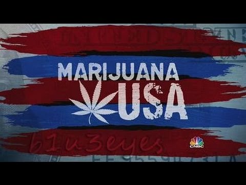 CNBC Marijuana USA 2010