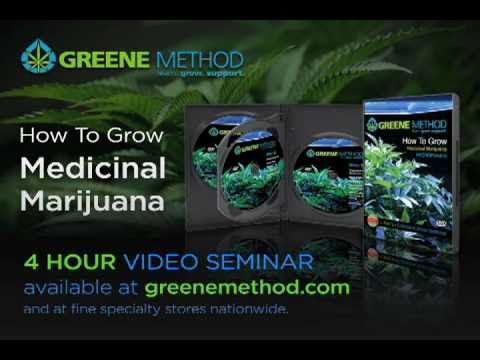 How to grow marijuana (7)