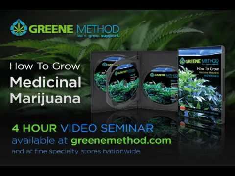 How to grow marijuana (5)