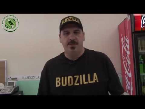 Budzilla Dispensary Police Raid