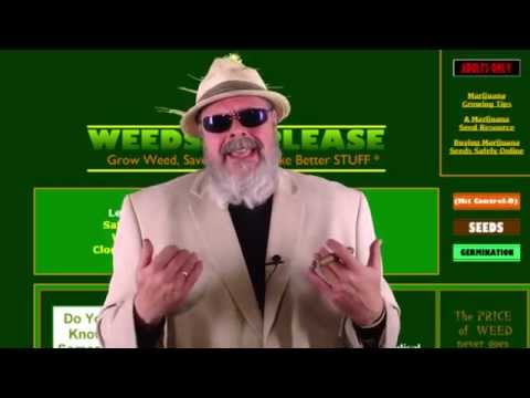 Marijuana seeds and growing cannabis - Weeds That Please