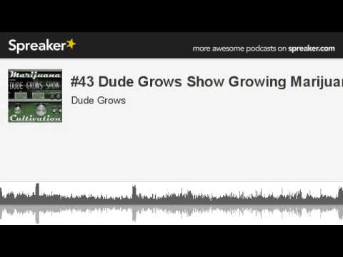 #43 Dude Grows Show Growing Marijuana (made with Spreaker)