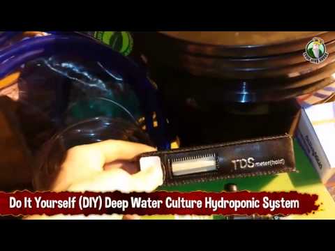 Do It Yourself (DIY) Deep Water Culture Hydroponic System