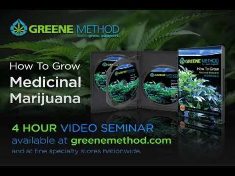 How to grow marijuana (2)