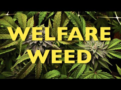 This City Is Giving Away Weed To The Poor