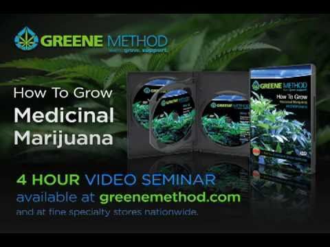 How to grow marijuana (1)