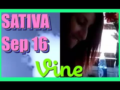 SATIVA Best Vines Compilation - September 16, 2014 Tuesday Night