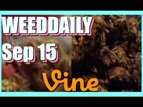 WEEDDAILY Vine Compilation - September 15, 2014 Monday