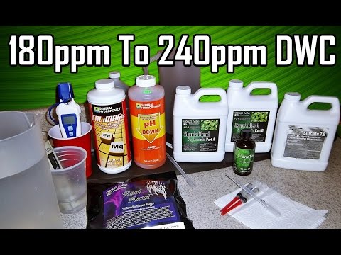 How To Properly Increase PPM In DWC Hydroponics By Skunk Labs