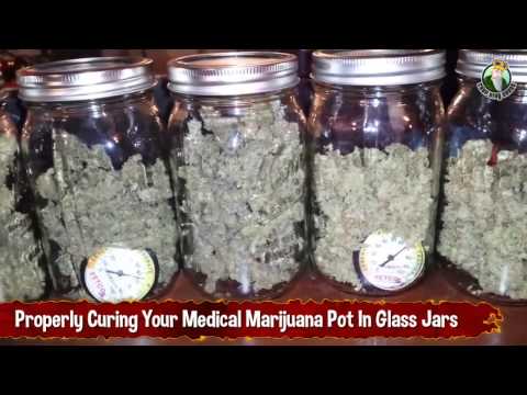 Properly Curing Your Medical Marijuana Pot In Glass Jars For The Best Smelling Weed
