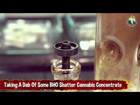 Taking A Dab Of Some BHO Shatter Cannabis Concentrate