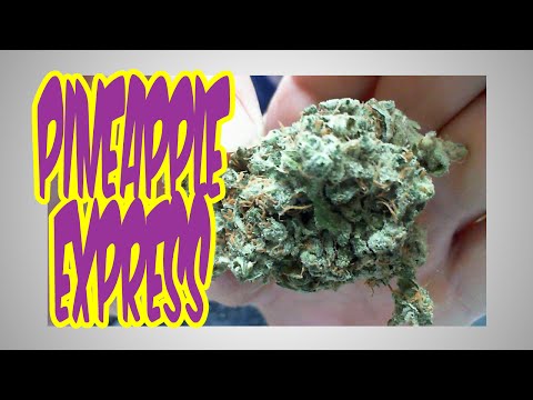Stoner Snack Review Explosion
