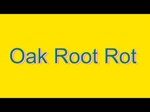 How to Pronounce Oak Root Rot