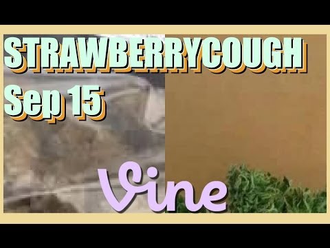 STRAWBERRYCOUGH Vine Compilation - September 15, 2014 Monday Night