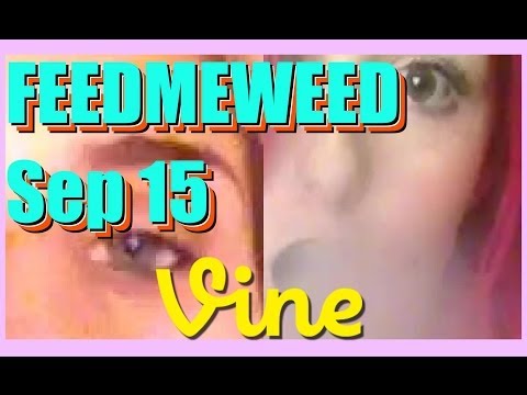 FEEDMEWEED Best Vines Compilation - September 15, 2014 Monday Night