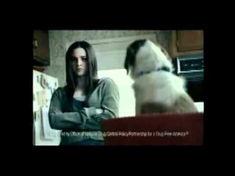 Anti Weed Commercial:Talking Dog 