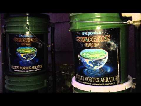 Hydroponics and Soil Gardeners: Make liquid fertilizer from kitchen discards and weeds. Go organic!