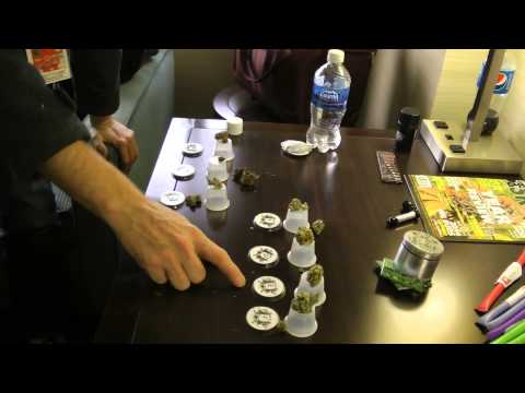 Prairie Medicinal Harvest Cup Sativa Sniff Test
