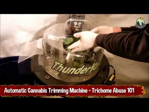 Automatic Cannabis Trimming Machine - Trichome Abuse 101
