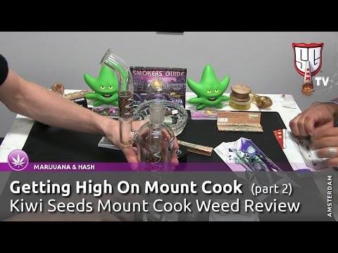 Getting High On Mount Cook (Part 2) Kiwi Seeds Mount Cook Weed Review - Smokers Guide TV Amsterdam