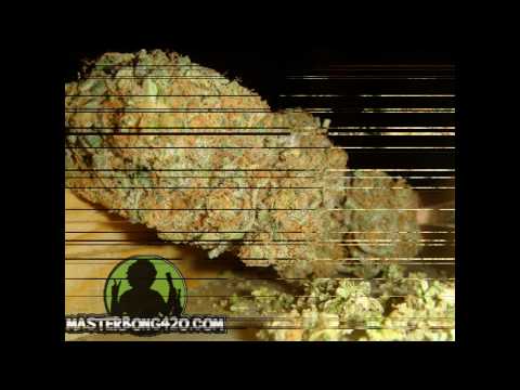 Master Bong - Medical Marijuana strain Hindu Skunk #1 Teaser