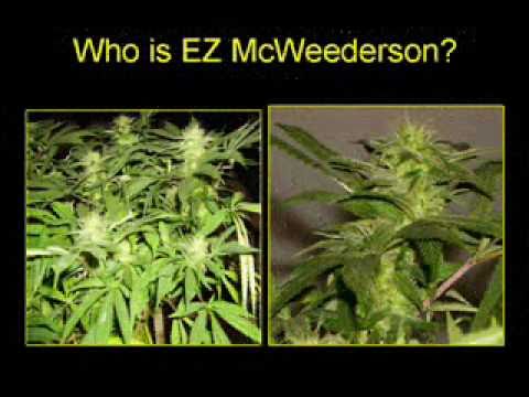 Growing Marijuana The EZ way!