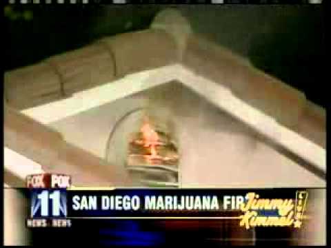 A fire in a house where marijuana is growing, look at the face of the fireman =)