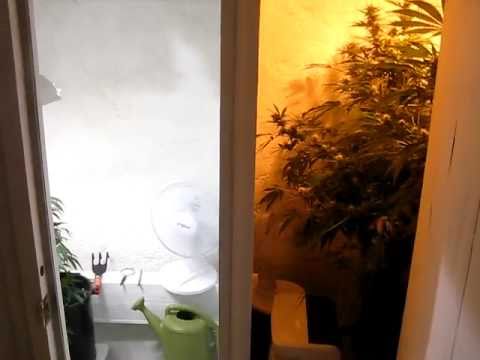 Simple Grow Room