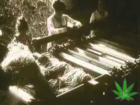 History of Marijuana Part 4