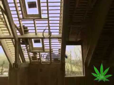 History of Marijuana Part 7