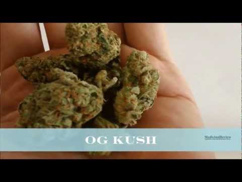 OG KUSH Cannabis Strain Medical Marijuana HD