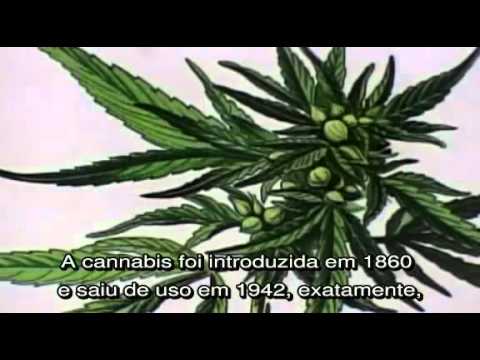 Waiting To Inhale - Marijuana, Medicine and the Law - [ Parte 1 - Leg. ]
