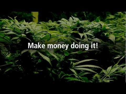 How to grow marijuana - GreeneMethod.com - 4-hour DVD