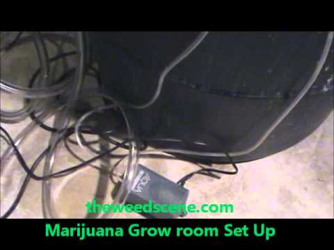 marijuana grow room set up