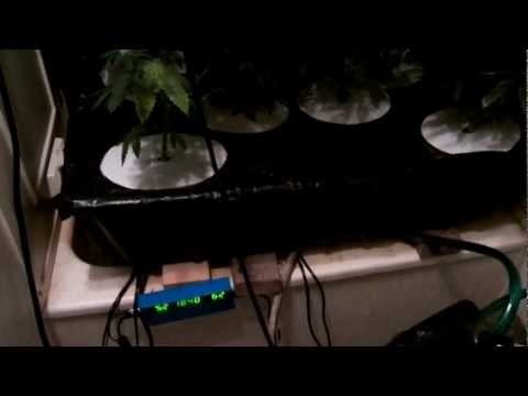 Grow marijuana setup and video log Hydro 1000 hps how to Part 1/11