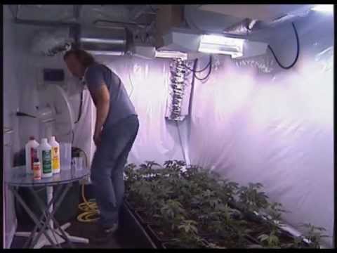 How To Grow Marijuana In 13 Minutes (extensive indoor weed grow-op)