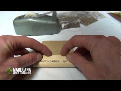 How to Scuff Marijuana Seeds For Easy Germination - Marijuana Growing Tips