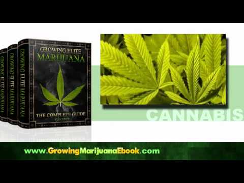 Growing Marijuana Indoors | Outdoors Tips, E-Book Help to Grow