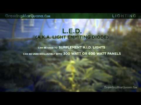 Light - Marijuana Lighting - Lights For Growing Marijuana - 10