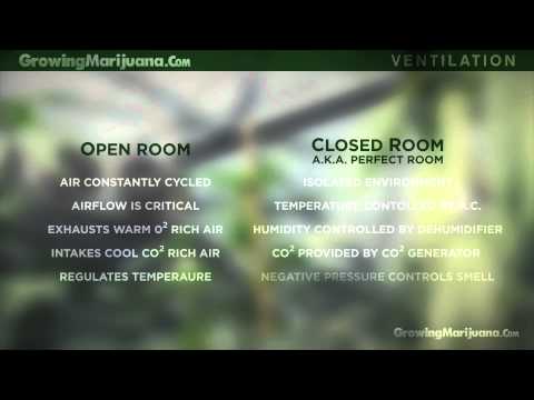 Ventilation - Marijuana Growing - Ventilation - Grow Rooms Oxygen - 14