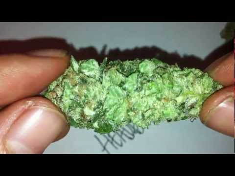 Knotty's Headband - Medicinal Marijuana