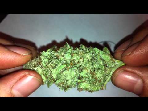 Knottyy's G13 - Medicinal Marijuana