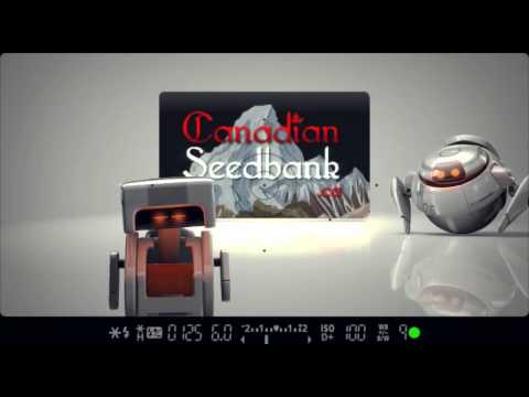 CanadianSeedBank.ca - Greetings From CANADIANSEEDBANK! - Robot Commercial #4