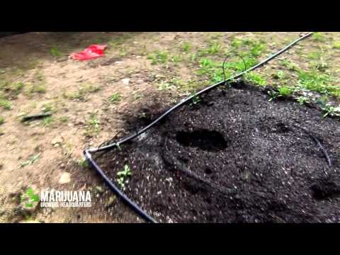 IR Ninja Outdoor Marijuana Garden: Video 2 Plumbing and Fencing